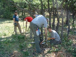 Conservation at Cito